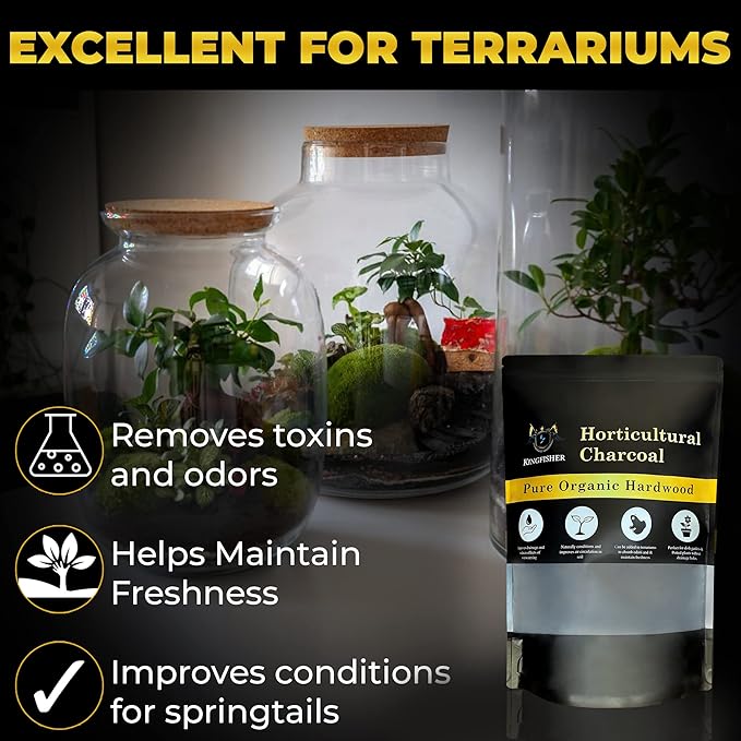 Organic Horticultural Charcoal & Terrarium Charcoal | Charcoal for Plants | Pure Hardwood Charcoal for Planting and Gardening | Organic Canadian Maple Biochar