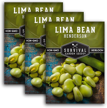 Lima Bean Seeds for Planting – Henderson Butter Bean Seeds for Gardens & Classroom Science Projects, Easy to Grow Non-GMO Heirloom Variety - Survival Garden Seeds (3 Packs)
