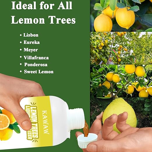 Lemon Tree Fertilizer - Orange, Lemon, Lime, Mango, Avocado - Ideal Micronutrients Plant Food for Tropical Fruit Trees to Grow More Fruit - Garden-Growing Miracle Nutrients, 10 oz