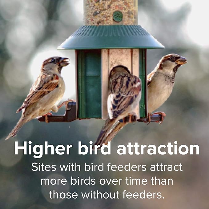 Blue Seal Nature's Choice Wild Bird Seed | High Energy Mix, No Filler | Sunflower and White Safflower Seeds | Attracts Variety of Wild Outside Birds | Shell-Free Mix | Made in USA | 8 Pound Bag