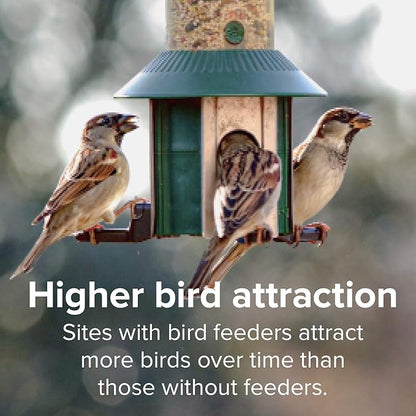 Blue Seal Concerto Wild Bird Seed | Premium High-Energy Blend | No Fillers, Corn-Free | Attracts a Wide Variety of Wild Outside Birds | Convenient Shell-Free Mix | Made in USA | 20 Pound Bag