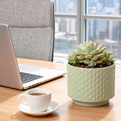 6 Inch Ceramic Pots for Indoor Plants with Drainage Hole & Floral Design, Planter for Home Decor on Windowsill, Tabletop, Office (Light Green)