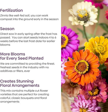 Zinnia Seeds, 2 Oz (2 Packs), Flowers Seeds for Planting, Wildflower Seeds Bulk, 5 Varieties Mixed Colors and Large Blooms, Open Pollinated, Non GMO Made in USA