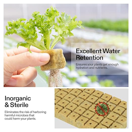VIVOSUN 1" Rockwool Cubes, 200 Plugs Stonewool Starter Grow Cubes for Cuttings, Cloning, Plant Propagation, Seed Starting, Hydroponic Grow Media for Vigorous Plant Growth