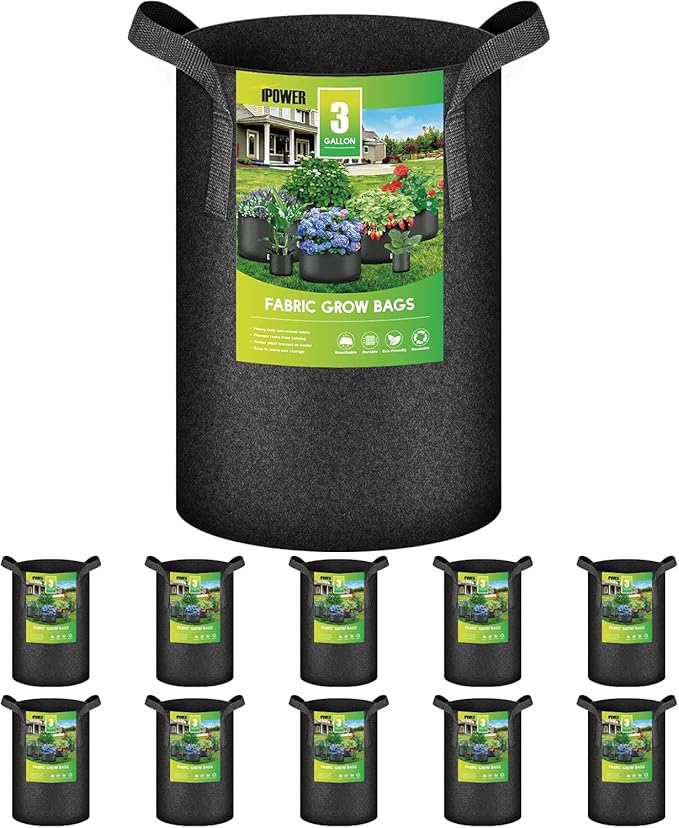 iPower 3 Gallon 10 Pack Grow Bags Nonwoven Fabric Pots Aeration Container with Strap Handles for Garden and Planting, 10-Pack Black, 3 Gallon