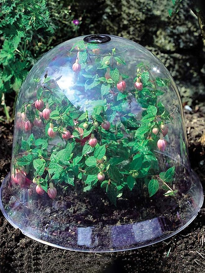 Set of 6 Original Bell Jar Cloches, 10IN Reused Plant Protector Cover Mini Greenhouse with Plant Labels Garden Cloche Dome Plant Bell Cover Plastic Plant Bell Cover for Garden Outdoors(#1)