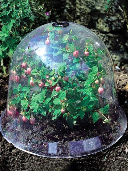 Set of 6 Original Bell Jar Cloches, 10IN Reused Plant Protector Cover Mini Greenhouse with Plant Labels Garden Cloche Dome Plant Bell Cover Plastic Plant Bell Cover for Garden Outdoors(#1)