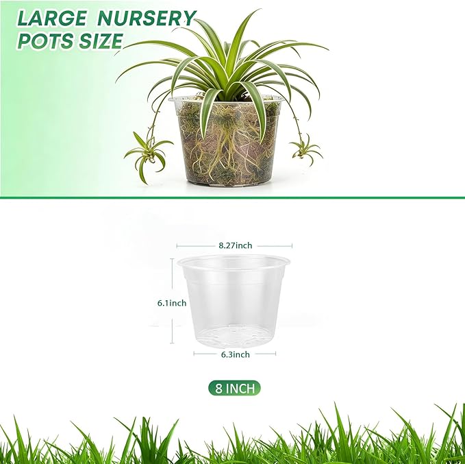 10 Pack 8 Inch Large Clear Nursery Pots with Drainage Hole, Plastic Plant Pots for Seedlings Flowers Vegetablesb, Indoor Outdoor Gardening, Used as Liners Inside Decorative Pots (8 inch)