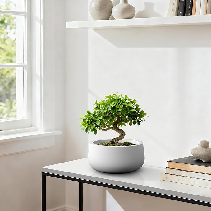Kante 15.7" Dia Round Concrete Planter, Outdoor Indoor Garden Plant Pots with Drainage Hole and Rubber Plug, Modern Curvaceous Design, Pure White
