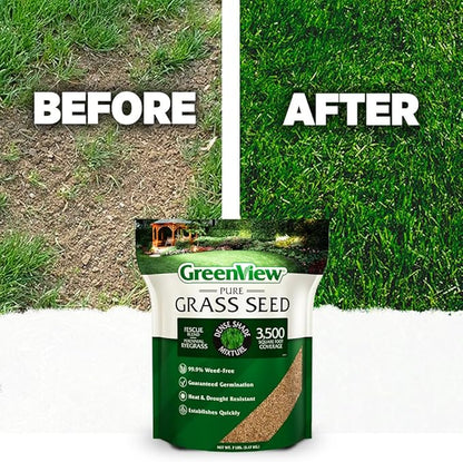 GreenView Pure Grass Seed Dense Shade Mixture, 3 lb. Bag – Covers up to 1,500 sq. ft.
