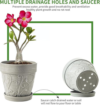 Melphoe Plant Pots Indoor with Drainage & Saucer, 2Pack 8 inch Flower Pots Outdoor Planters for Indoor Plants Garden Home Decor Cactus Succulent, Rigid Plastic (Imitation-Terracotta) Vine-Embossed