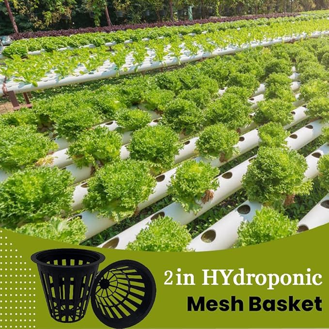 100 PCS 2 Inch Heavy Duty Net Pots, Slotted Mesh Hydroponic Cups for Garden, Plant Nursery Net Cups for Hydroponics and Aquaponics