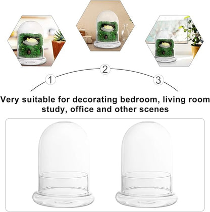 Cabilock Glass Terrarium Bottle 6.10X4.72X4.72In with Clear Dome for Micro Landscape Display and Plant Humidity Control Indoor Garden Decor
