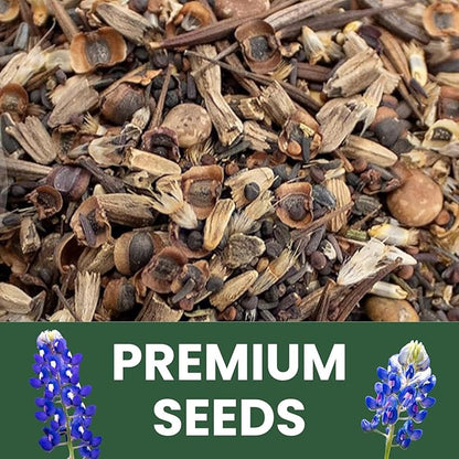 Texas Oklahoma Regional Mix – 3,500 Seeds for Planting – 2026 Season – 5-Gram Pouch