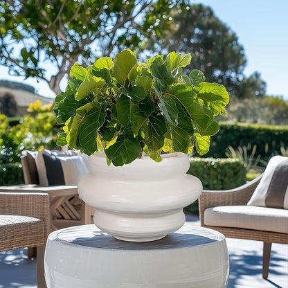 Ceramic Plant Pots Bonsai 10.6 Inch - Flower Pots for Indoor Plants, Large Plant Pots with Drainage Hole, Decorative Planter Outdoor Flower Pot for Office, Gift for Men Women, White