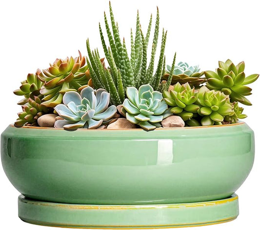Succulent Planters - 8 Inch Ceramic Bonsai Pots with Drainage Hole and Plant Tray, Round Planter for Indoor Outdoor Plants, Shallow Planter Bowl, Room Decor, Housewarming Gifts, Light Green