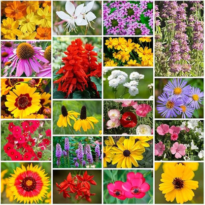 Park Seed Grow Your Own Vibrant Annual and Perennial Wildflower Garden Seeds Mixture, Easy to Grow Varieties for Pollinators and Spring Gardens - Southeast Regional Mix, 50 lbs