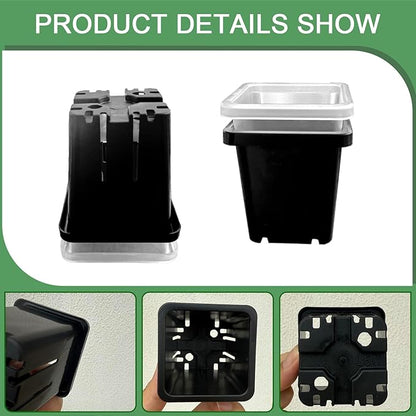 2 Inch Square Plant Nursery Pots (Black+Clear),50Pcs Seedling Planter Seed Starter Pots,Sturdy Small Plastic Pots with Drainage Holes