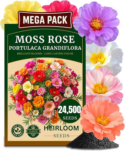 24500+ Moss Rose Seeds, Pack for 2026 USA Premium Non-GMO Flower Seeds Annual Flower for Ground Cover - Heat & Drought Tolerant Moss-Rose Purslane, Eleven O'clock