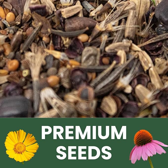 Bee Friendly Mix – 1,400 Seeds for Planting – 2026 Season – 5 Gram Pouch