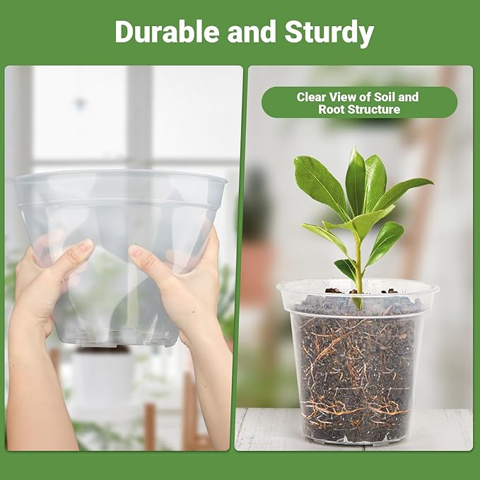 GREANER Clear Plant Pots, Plastic Planters for Indoor Plants, Seed Starting Pot with Drainage Holes, 4/5/6/7/8 Inch(10 Packs)