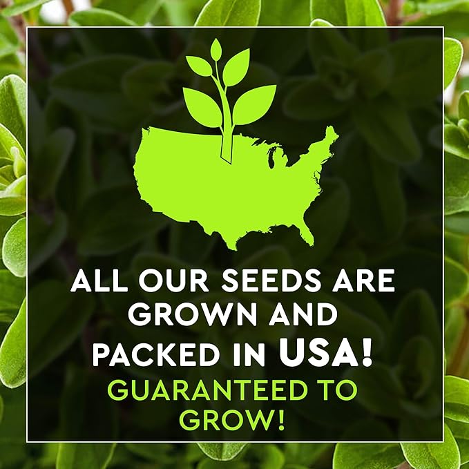 12 Culinary Herb Seeds Pack - Heirloom and Non GMO, Grown in USA - Indoor or Outdoor Garden - Basil, Parsley, Dill, Cilantro, Rosemary, Mint, Thyme, Oregano, Tarragon, Chives, Sage & More
