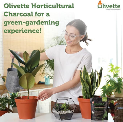 Olivette Horticultural Biochar Activated Charcoal for Plants, USDA Organic Moisture Control for Terrarium Trees & Potted Plants, Eco-Conscious, 1 Bag