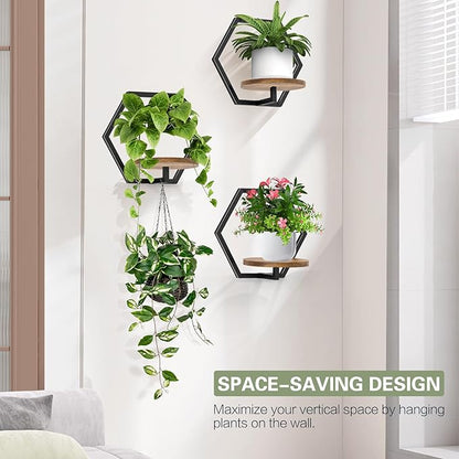 3 Packs Wall Planters for Indoor Plants, 7.9inch Metal Plant Holder Hanger Wall Decor, Mounted Hanging Window Shelves Outdoor Rack (Black Wooden Base)
