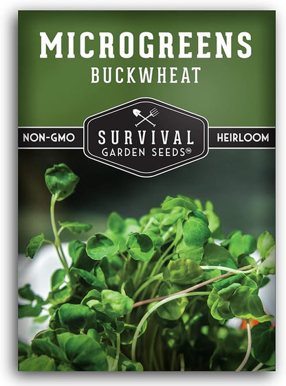 Buckwheat Microgreen Seeds for Sprouting - Non-GMO Heirloom Buckwheat Seeds to Grow Mild, Nutty Microgreens - Indoors or Hydroponic - Fast Growing - Survival Garden Seeds (1 Pack)
