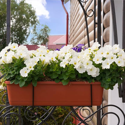 HOXHA Window Box Planter, 6 Pack 17inch Plastic Vegetable Flower Planter Boxes with Tray, Indoor Outdoor Flower Pots for Windowsill, Patio, Porch, Garden Balcony, Dark Gray