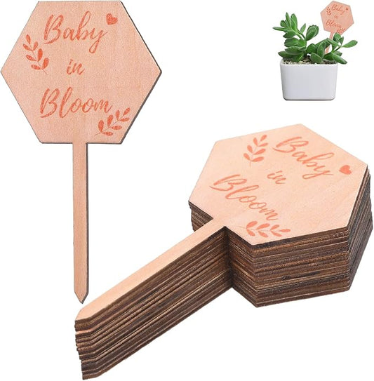 30PCS Baby in Bloom Sign Hexagon Wooden Tags, Succulent Plant Stakes Labels Gifts for Baby Shower Favors Garden Decor, Welcome Gift Markers for Party and Floral Celebration, Succulent Plant Markers