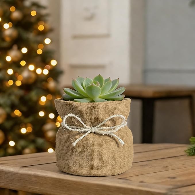 Succulent Pots Flower Pots for Indoor Plants Cute Plant Pots Candy Bowl for Office Key Holder Bowl Farmhouse Table Decor (Linen)