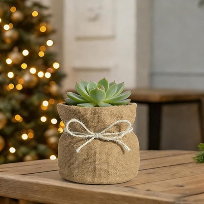 Succulent Pots Flower Pots for Indoor Plants Cute Plant Pots Candy Bowl for Office Key Holder Bowl Farmhouse Table Decor (Linen)
