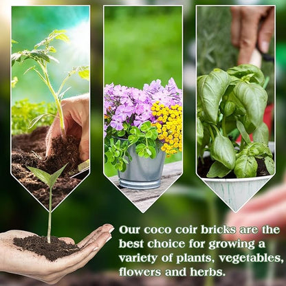 Halatool 6 Pcs Organic Coconut Coir Bricks for Plants, Compressed Coco Coir Brick Coconut Fiber Substrate with Low EC & pH Balance, High Expansion Coco Peat Seed Starter Garden Soil for Planting