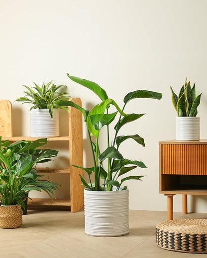 Ceramic Pots for Plants, 10+8+6 Inch White Planter with Drainage, Modern Striped Indoor/Outdoor Flower Pots for Succulents, Herbs, Home Office & Patio - Includes Mesh Pads & Saucer, Set of 3 ﻿