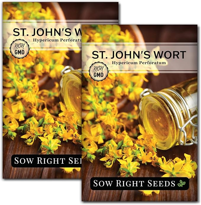 Sow Right Seeds - St John’s Wort Seeds for Planting - Non-GMO Heirloom Packet with Instructions to Plant & Grow an Outdoor or Indoor Herb Garden - Native Wildflower with Medicinal & Culinary Uses (2)