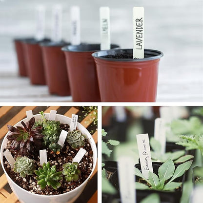1000 PCS Plastic Plant Labels for Seeding Plant Tags for Outdoor Garden, Waterproof Labels for Pot Garden Stake (White)