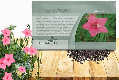 Outsidepride Rose Cypress Vine Seeds - 200 Pcs Annual Flower Seeds with Nectar-Rich, Star-Shaped Flowers & Feathery, Fern-Like Leaves for Fences, Trellises, Pergolas & Vertical Gardens