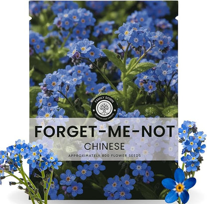 Chinese Forget Me Not – 800 Seeds for Planting – 2026 Season – 5 Grams