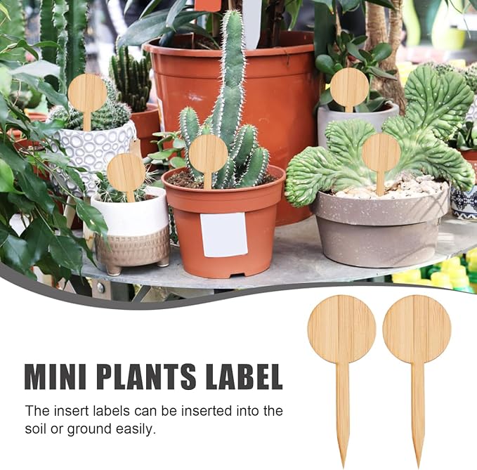 Mipcase 20pcs Plant Labels Round t Shape Miniature Decor Signs for Box and Garden Markers Natural Material for Easy Plant Identification