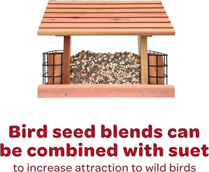 Kaytee Southern Regional Wild Bird Blend, 7-Pound Bag