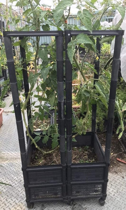 Climbing Vegetable & Tomato Planter with Wheels & Netting 14" Depth Planter Box - 24" L X 18" W X 50" H - Non-Toxic Sun Protected Material | Vegetable & Herb Backyard Patio