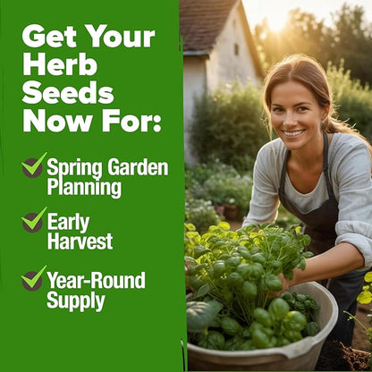 HOME GROWN Herb Seeds for Planting 15-Pack Massive Seed Count 5,100+ Seeds Non-GMO Heirloom | Extra Large | Culinary Herb Kit, Indoor Outdoor & Hydroponic | Grow Your Own Herbs | Gardening Gift