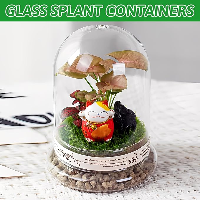 STARVAST 2PCS Glass Dome Cloche with Airhole and Base, 8.7 x 5.9 x 4.7 Inches, Clear Terrarium Planter Container for Plant Flower Home Tabletop Display Centerpiece, Plants Not Included