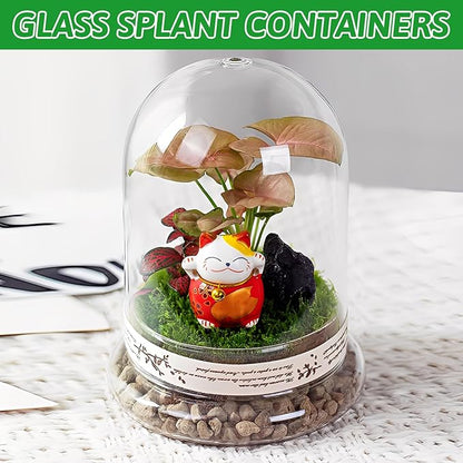 STARVAST 2PCS Glass Dome Cloche with Airhole and Base, 8.7 x 5.9 x 4.7 Inches, Clear Terrarium Planter Container for Plant Flower Home Tabletop Display Centerpiece, Plants Not Included