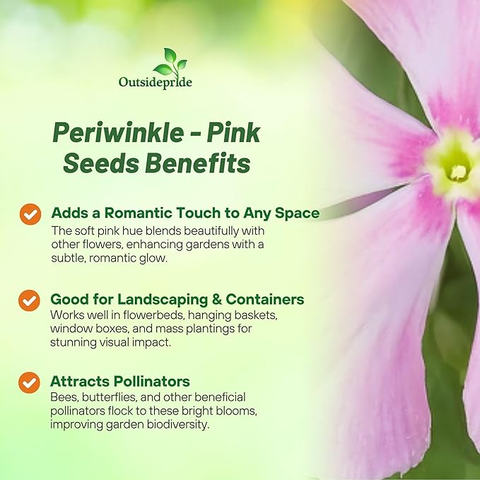 Outsidepride Pink Periwinkle Seeds for Planting – 4000 Pcs Annual, Fast-Blooming, Heat & Drought Tolerant Vinca Flower Seeds with Vibrant Colors Ideal for Gardens, Beds, Borders & Containers