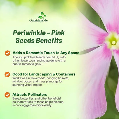 Outsidepride Pink Periwinkle Seeds for Planting – 2000 Pcs Annual, Fast-Blooming, Heat & Drought Tolerant Vinca Flower Seeds with Vibrant Colors Ideal for Gardens, Beds, Borders & Containers