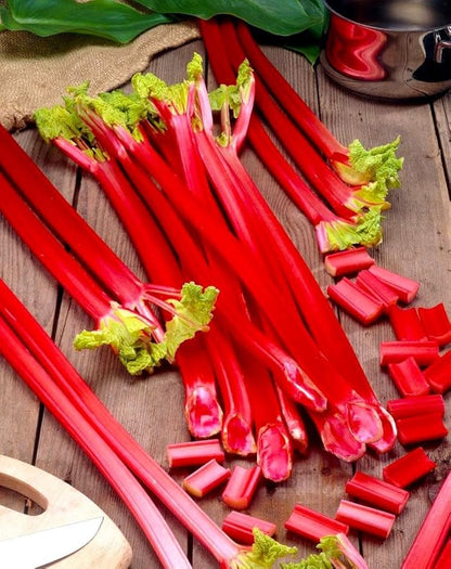 Rhubarb Seeds 50+ Seeds Garden Rhubarb Rheum Rhabarbarum Garden Vegetables Seeds