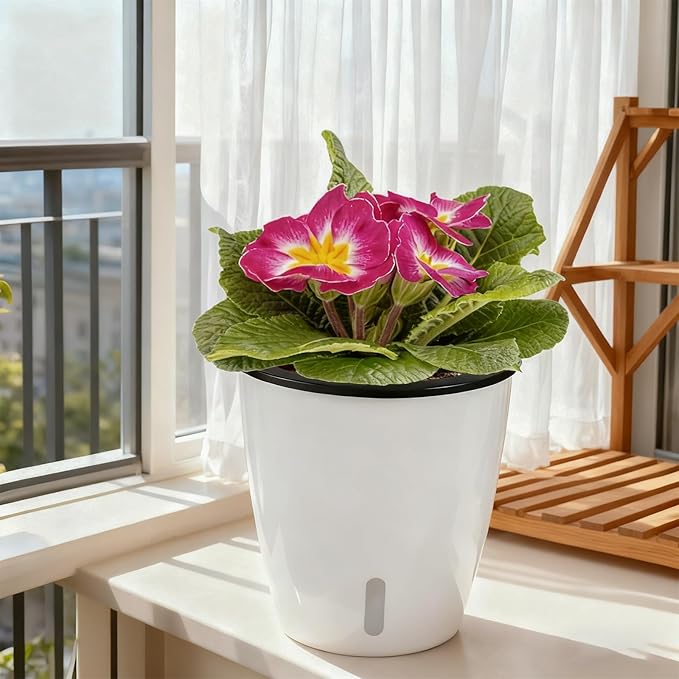 Planterhoma 5 Inch Self Watering Pots for Indoor Plants, 6 Packs African Violet Pots with Indicator, Black Wick Pot with Drainage Holes, Self Watering Planters for Orchid, Devil's Ivy, White