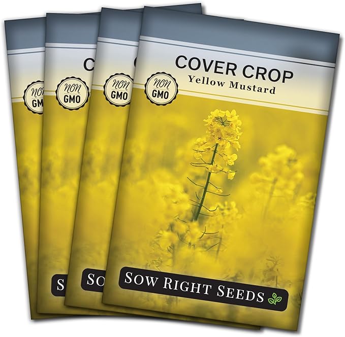 Sow Right Seeds - Yellow Mustard Seed for Planting - Cover Crops to Plant in Your Home Garden - Enriches Soil - Suppresses Weeds - Cold Hardy - Non-GMO Heirloom Seeds - Great Gardening Gift (4)